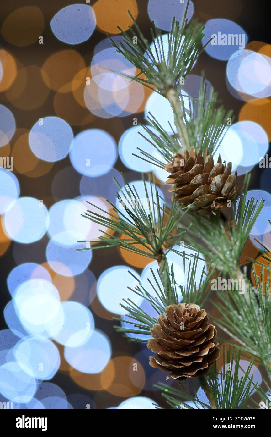 Weihnachtsdekoration mit Tannenbrunch und Bokeh Glitter Stockfoto