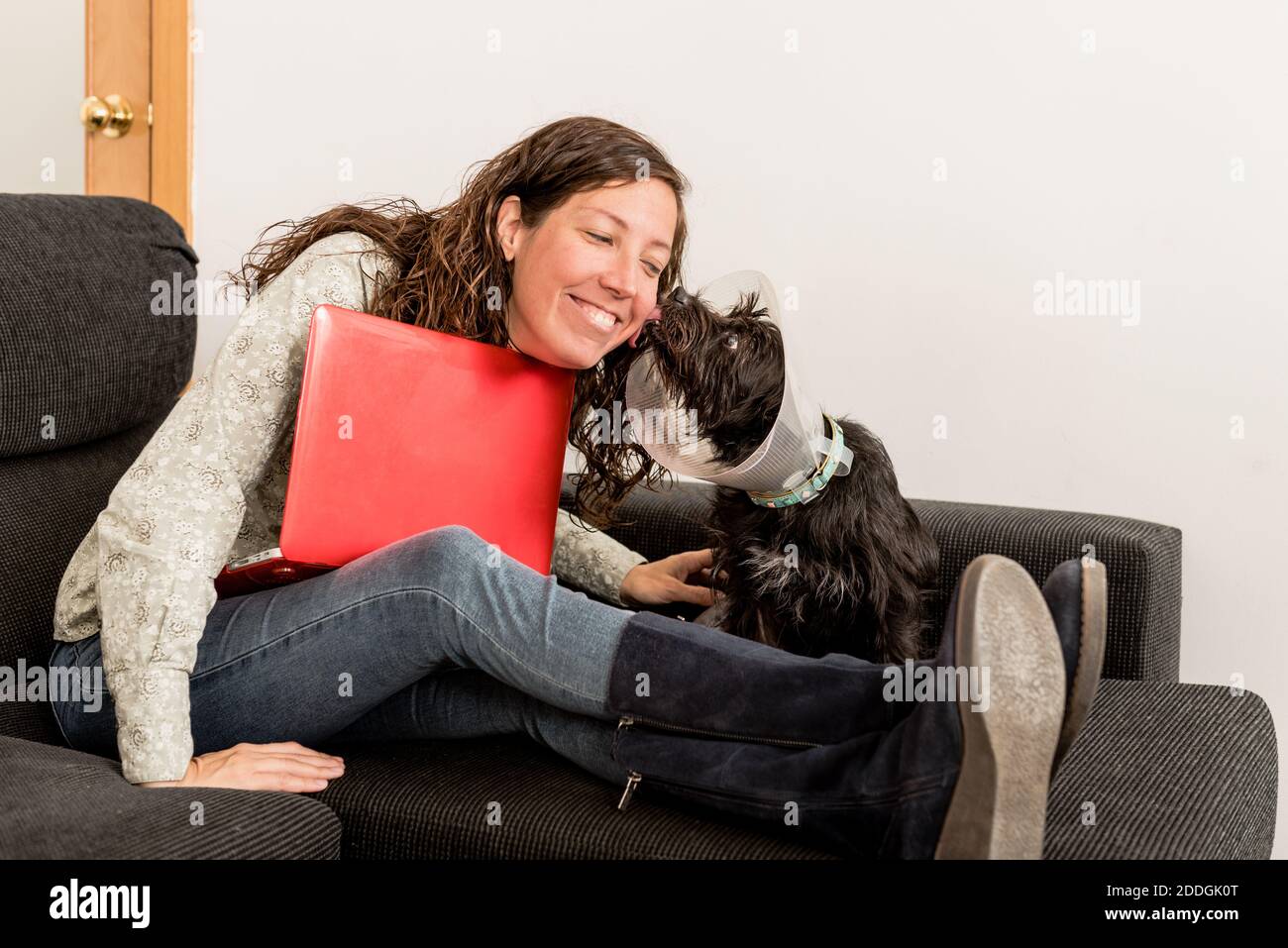 Seitenansicht des schwarzen flauschigen Hundes im Haustier-Kegel sitzend Auf dem Sofa und leckend die Wange der fröhlichen Besitzerin arbeitend Auf dem Laptop zu Hause Stockfoto