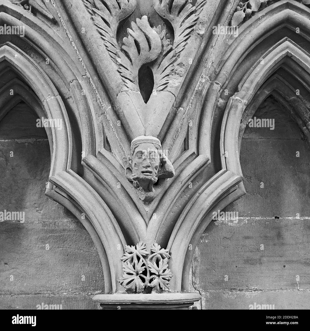13. jahrhundert Steinschnitzereien um die Sitze im Kapitel Haus der Southwell Minster, Nottinghamshire Stockfoto
