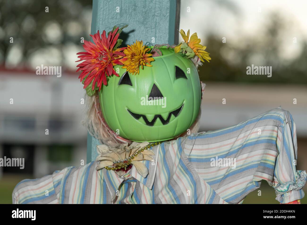 2020 Halloween grüner Kürbis mit Blumen und Hemd Stockfoto