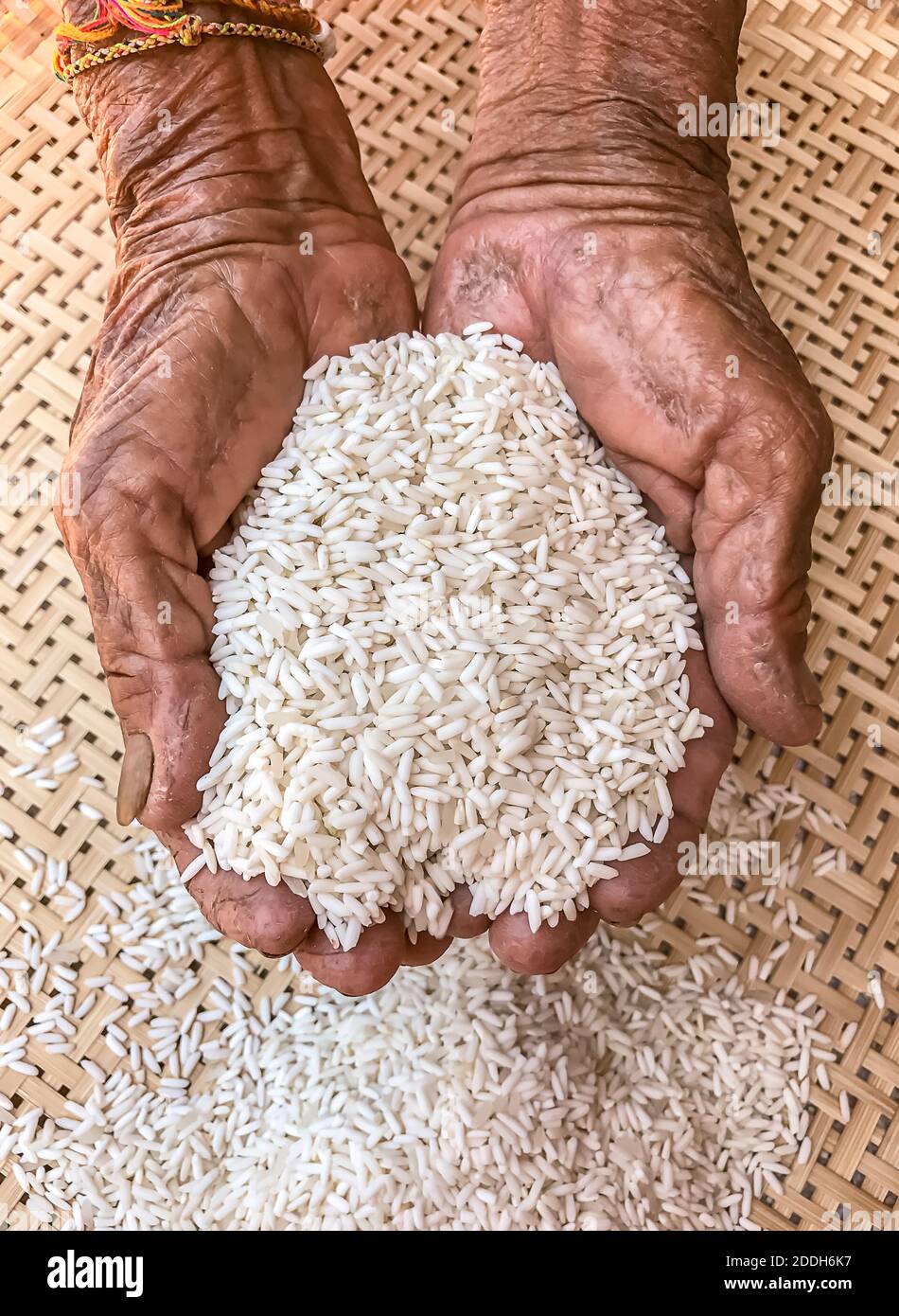 Sehr alte ältere Frau Hände faltige Haut mit Reis Stockfoto