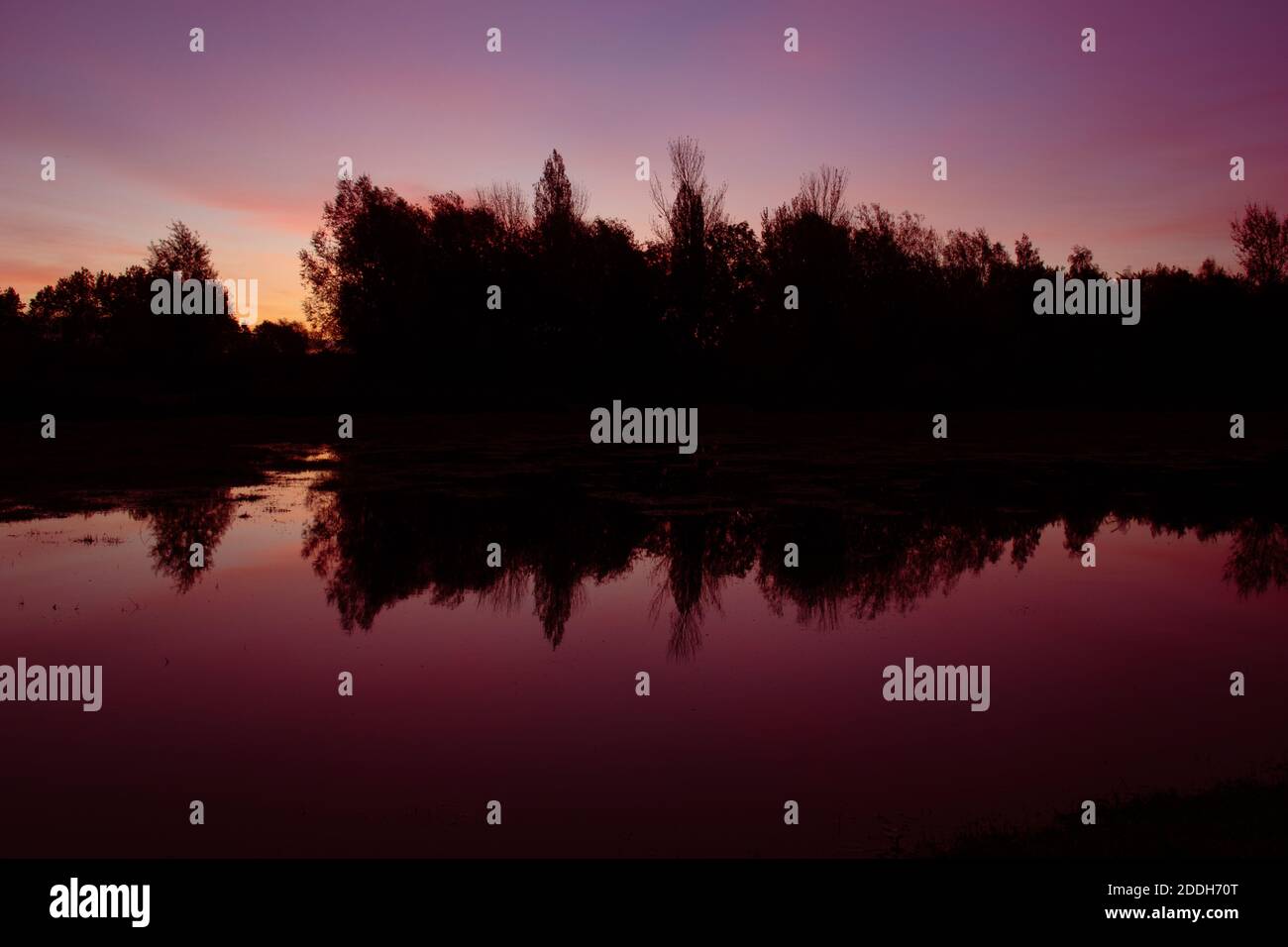 Schattenspiegelung von Bäumen auf dem Flutwasser bei Sonnenaufgang. Stockfoto