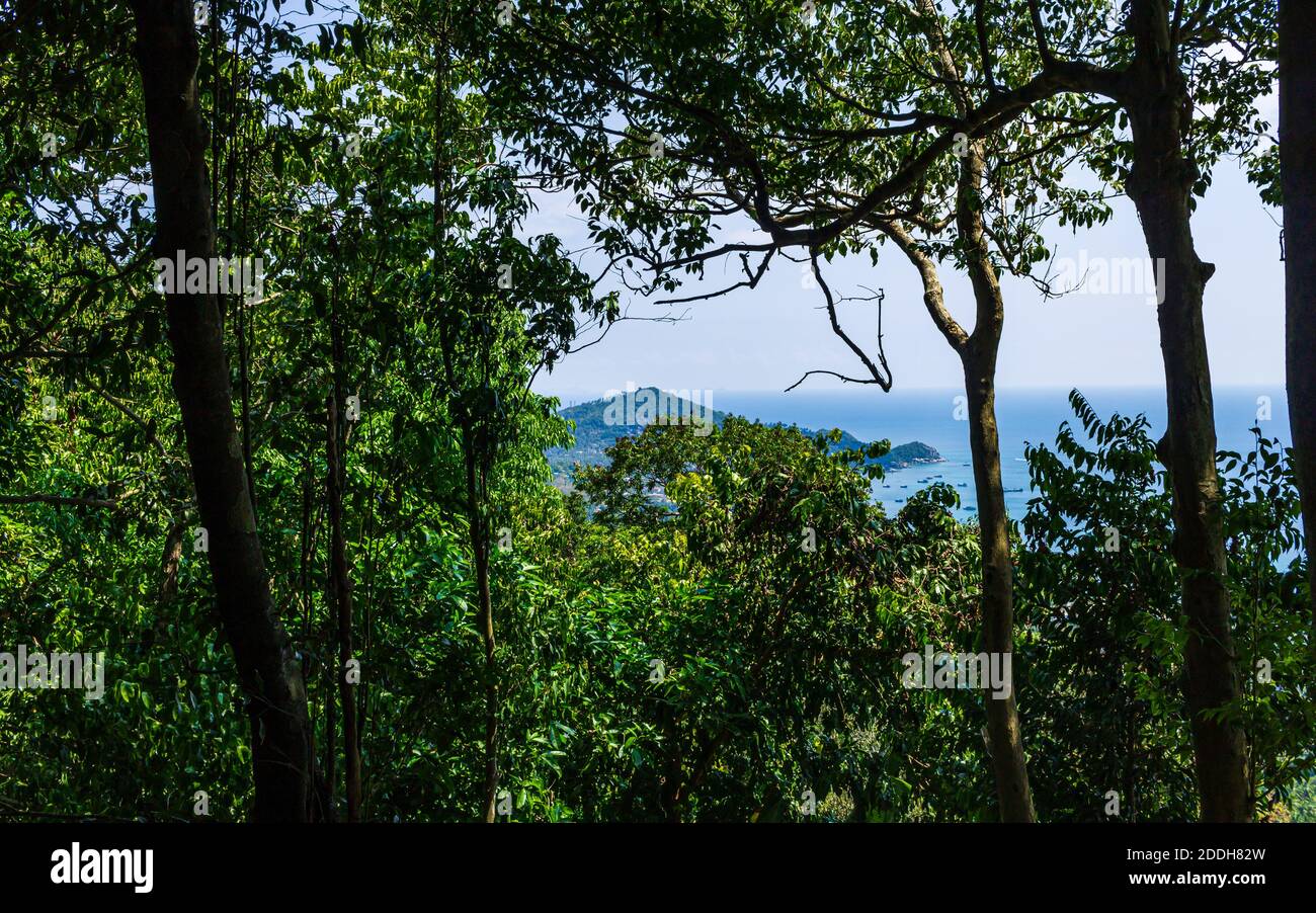 Koh Tao Insel Mango Aussichtspunkt, grüne Palmen und blaues Meerwasser. Stockfoto
