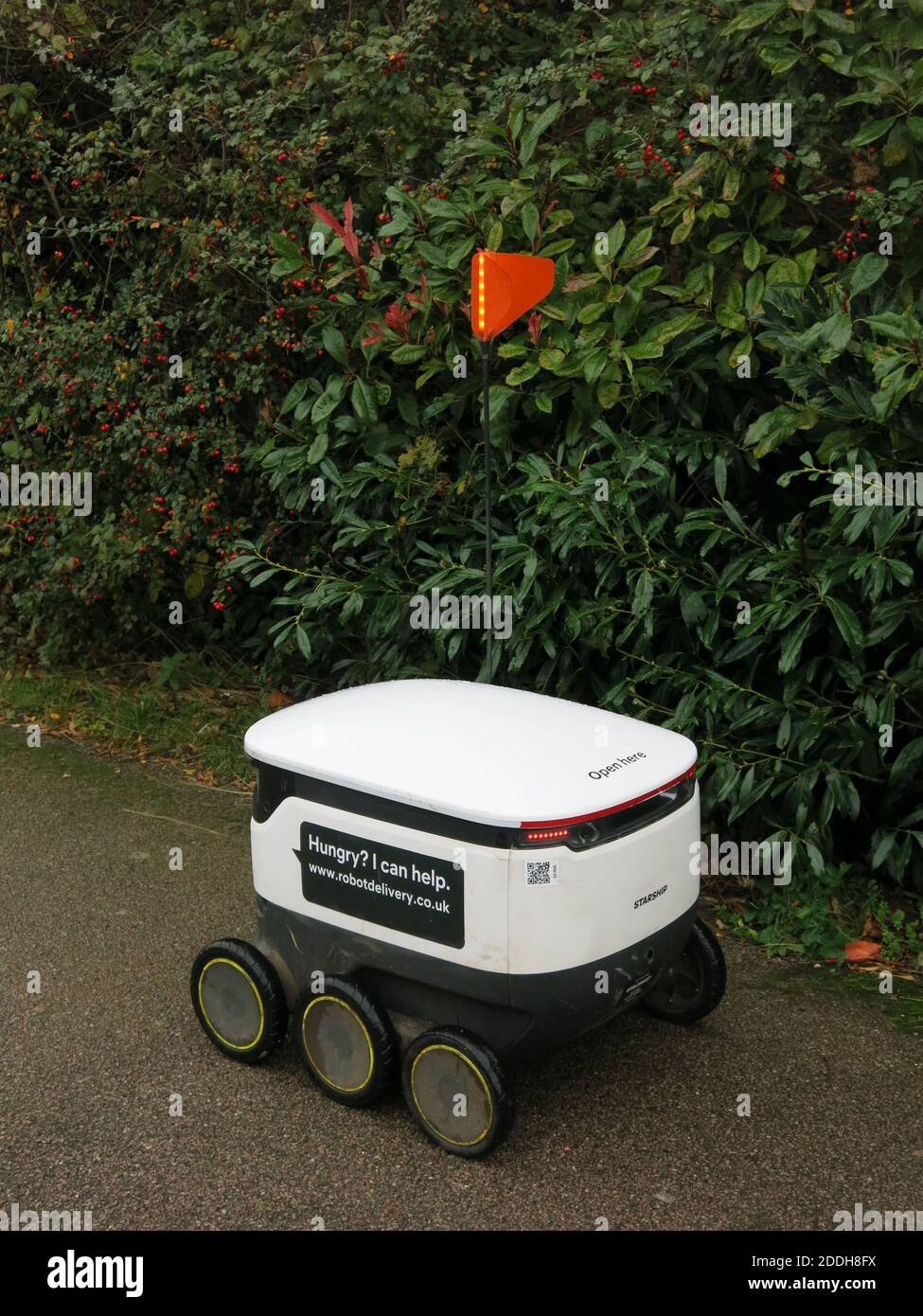„Hallo! I'm your Starship Delivery robot'; diese kleinen weißen Buggys reisen jetzt durch die Straßen von Northampton und liefern Online-Lebensmittelbestellungen Stockfoto