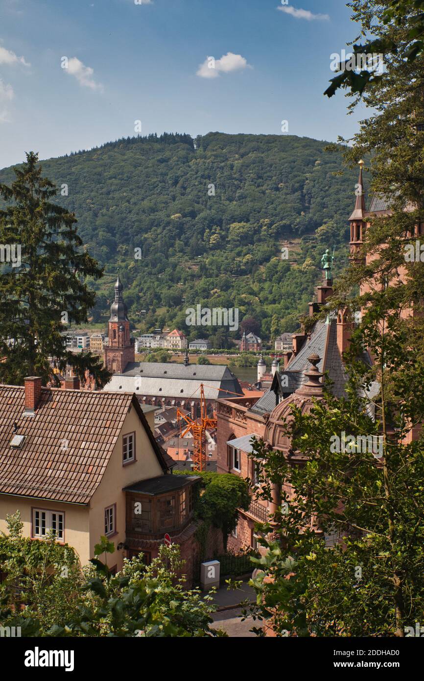 Ein schöner Blick auf den zentralen Teil von Heidelberg in Baden-Württemberg, Deutschland, aus dem alten Schloss mit Blick auf Bäume und Häuser Stockfoto