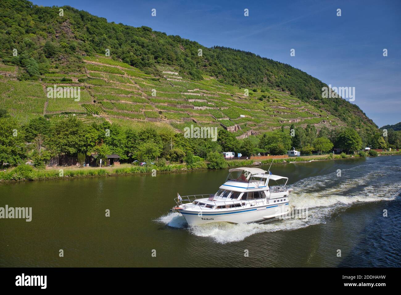 Eine Motoryacht, die auf einer Strecke des Rheins in Deutschland segelt, vor dem Hintergrund eines grünen Hügels, der zum Fluss abfällt Stockfoto