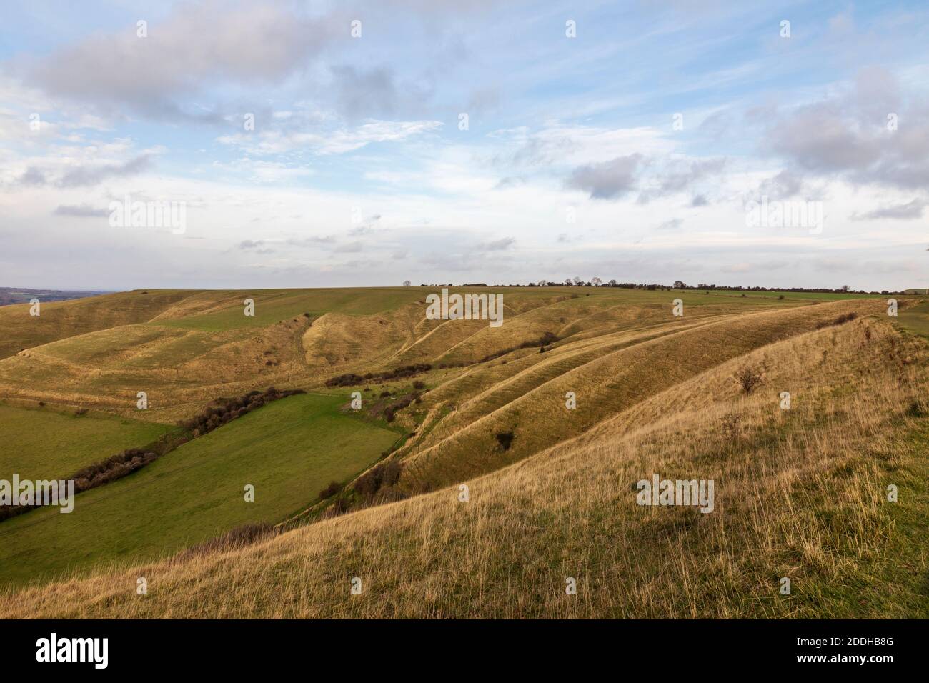 Oliver's Castle ein eisenzeitliches Hügelfort auf Roundway Hill, Devizes, Wiltshire, England, Großbritannien Stockfoto