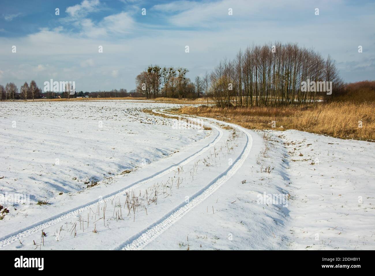 Spuren von Rädern im Schnee auf einem Feldweg, Bäume und Himmel, Winteransicht Stockfoto