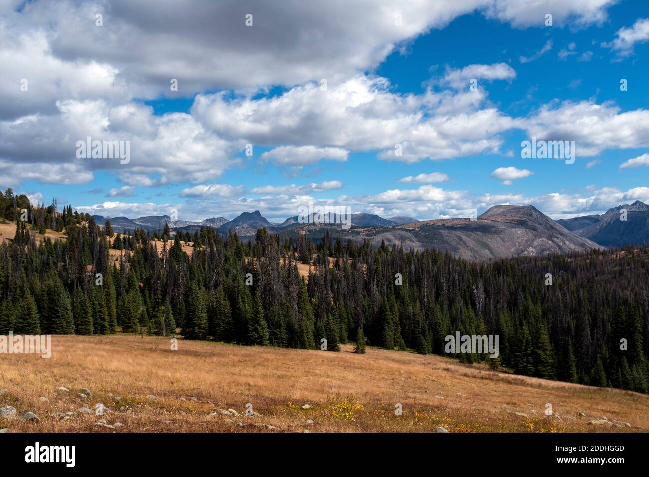 WA18996-00...WASHINGTON - Blick nach Osten vom Boundary Trail mit Blick auf bald Mountain und Cathedral Peak in der Pasayten Wildnis. Stockfoto