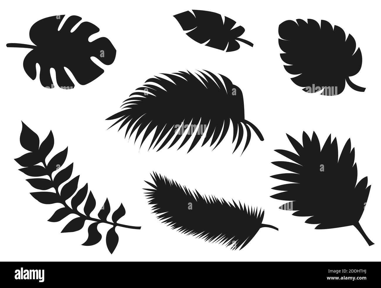 Set von tropischen Blättern in Form in weißem Hintergrund. Vektorgrafiken auf weißem Hintergrund Stockfoto