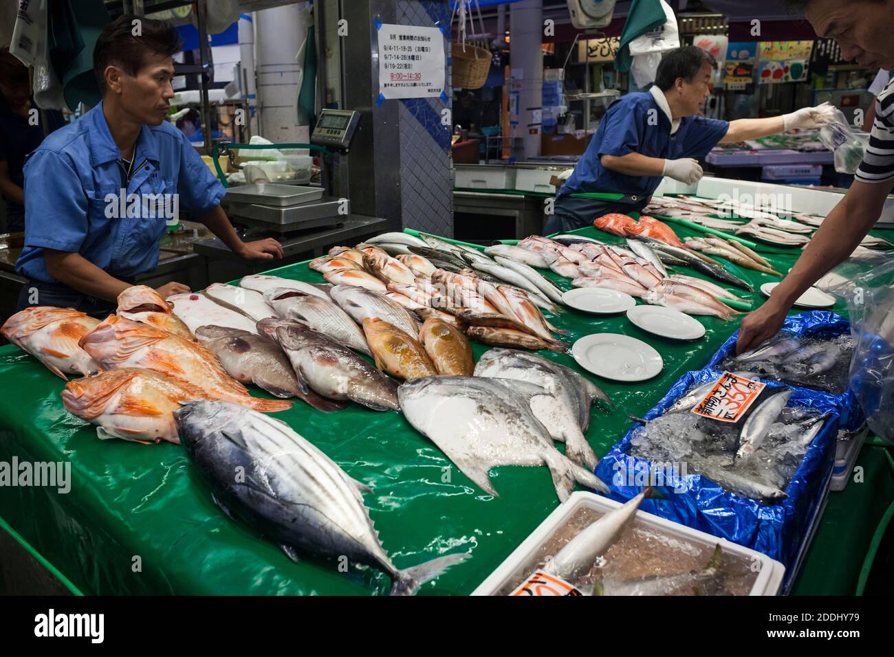 Horizontale Ansicht eines der Fischstände des Omicho-Frischmarkt mit den Fischhändlern im Hintergrund, Kanazawa, Japan Stockfoto