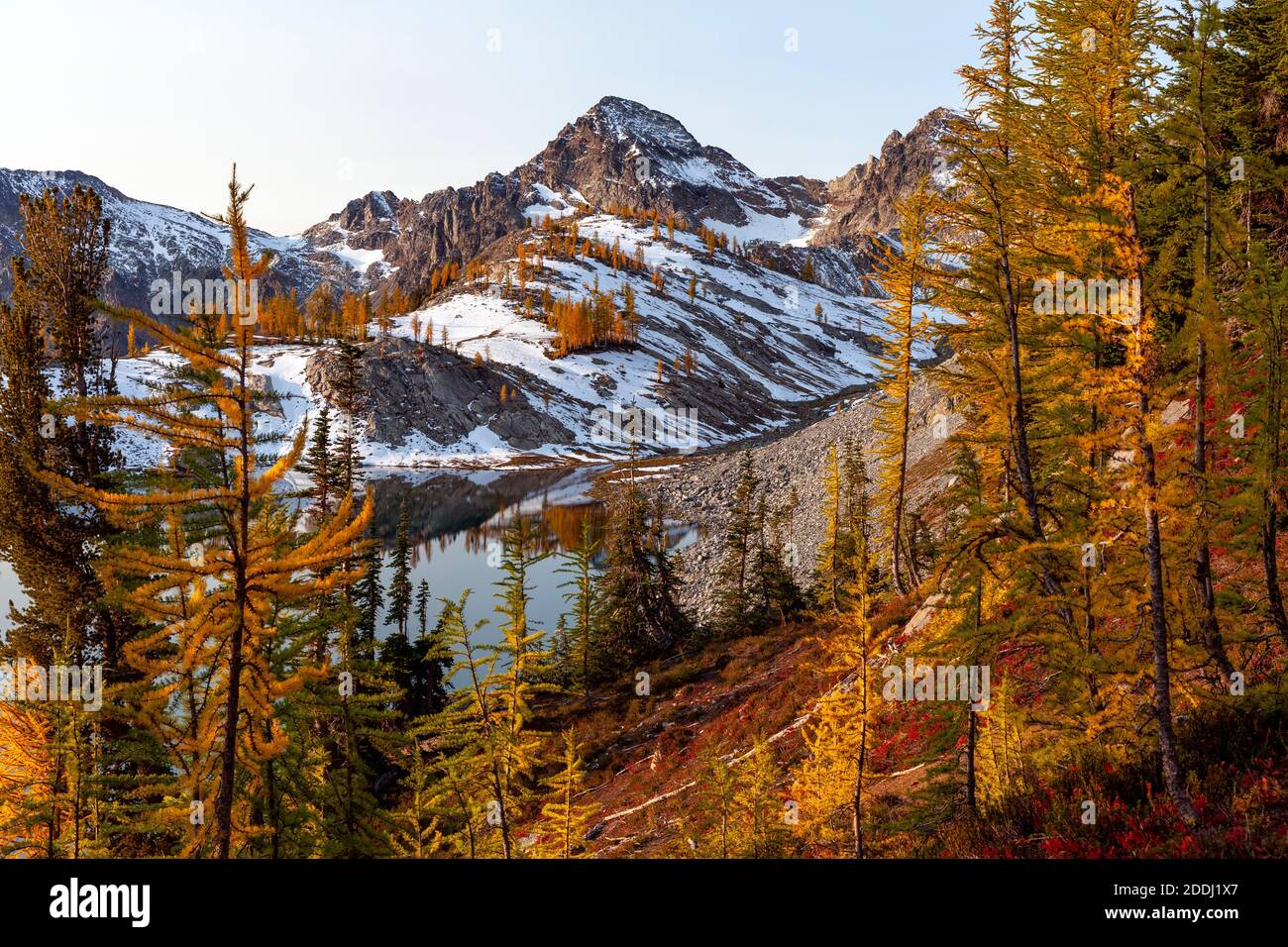 WA17767-00..... WASHINGTON - Lärchen in Herbstfarbe am Lower Ice Lake, Glacier Peak Wilderness, Okanogan Wenatchee National Forest. Stockfoto