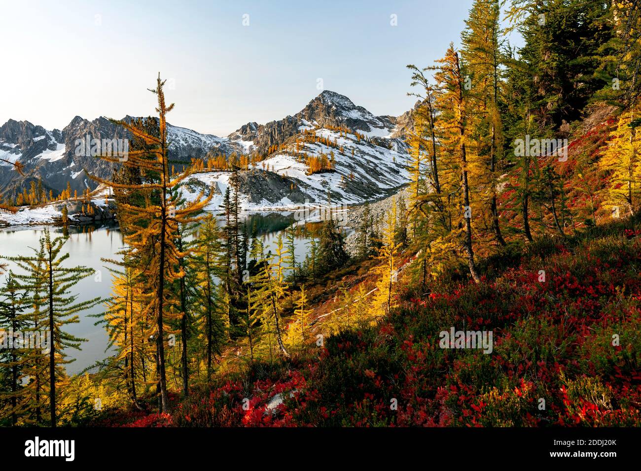 WA17768-00..... WASHINGTON - Lärchen in Herbstfarbe am Lower Ice Lake, Glacier Peak Wilderness, Okanogan Wenatchee National Forest. Stockfoto