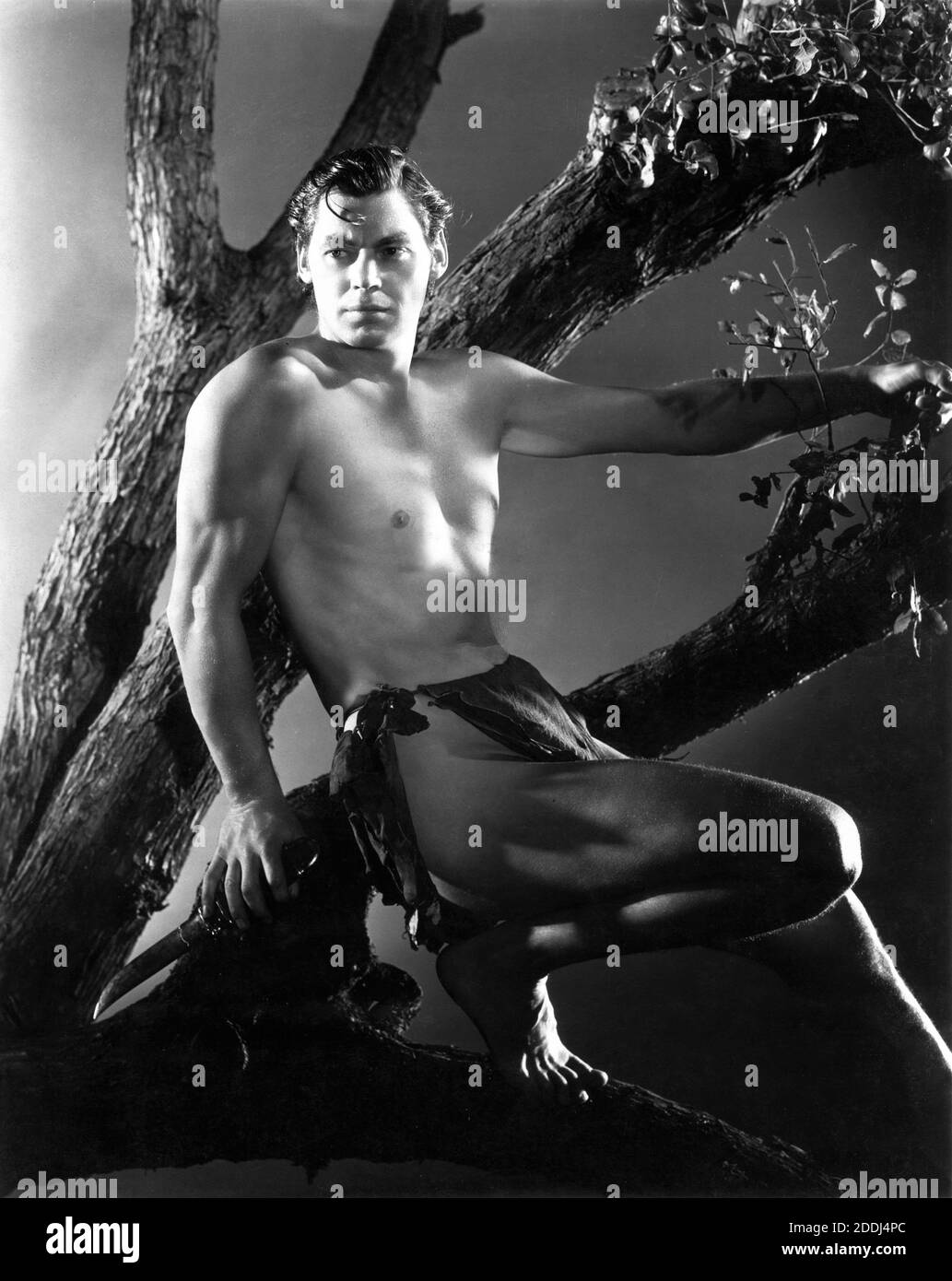 JOHNNY WEISSMULLER Classic Portrait von GEORGE HURRELL für TARZAN ESCAPE aka THE CAPTURE OF TARZAN 1936 Regisseure RICHARD THORPE JOHN FARROW JAMES C. McKay GEORGE B. SEITZ WILLIAM A. WELLMAN Drehbuch Cyril Hume nach Figuren von Edgar Rice Burroughs Metro Goldwyn Mayer Stockfoto