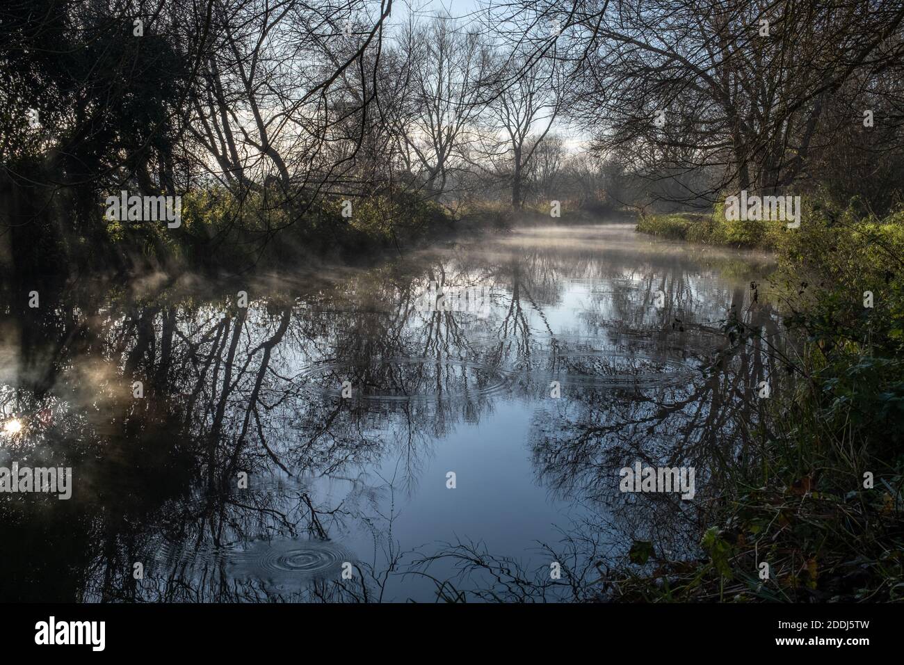 Sawbridgeworth, Hertfordshire, England, 23. November 2020, Nebel steigt aus dem Fluss Stort an einem kalten, aber sonnigen Herbstmorgen, Fotograf : Brian Stockfoto