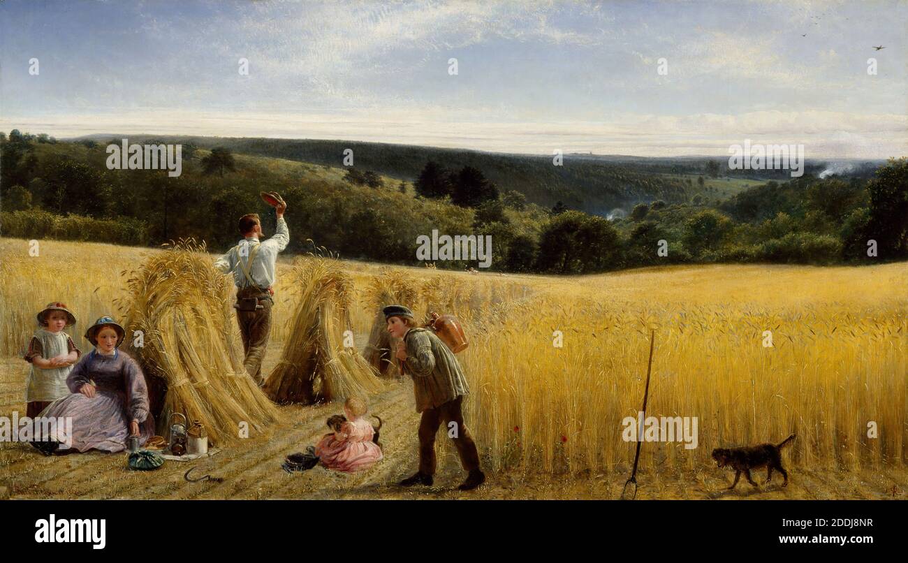 Die Täler stehen dick mit Mais, 1865 Richard Redgrave (d. 1888), der Titel ist aus der Bibel, Psalm 65, Landschaft, Ölgemälde, Feld, Landwirtschaft, Kulturen, Ernte Stockfoto