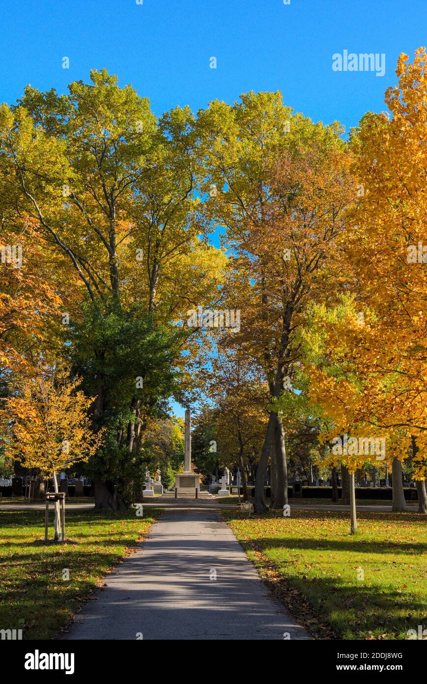 Denkmal am Wiener Zentralfriedhof mit farbenprächtigen Bäumen Stockfoto