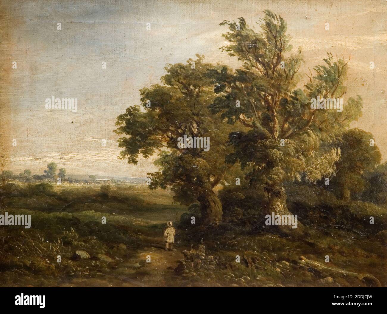 Landschaft mit Bäumen, 1863 zugeschrieben Samuel Rostill Lines, Baum, Landschaft, Grün, Wetter, Wind Stockfoto