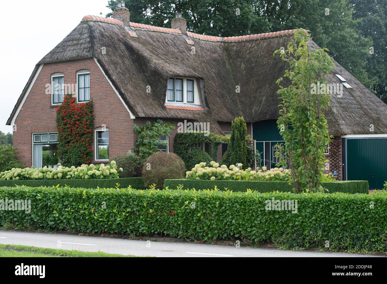 Bau eines Strohdaches auf Bauernhaus, kleine Stadt in den Niederlanden Stockfoto