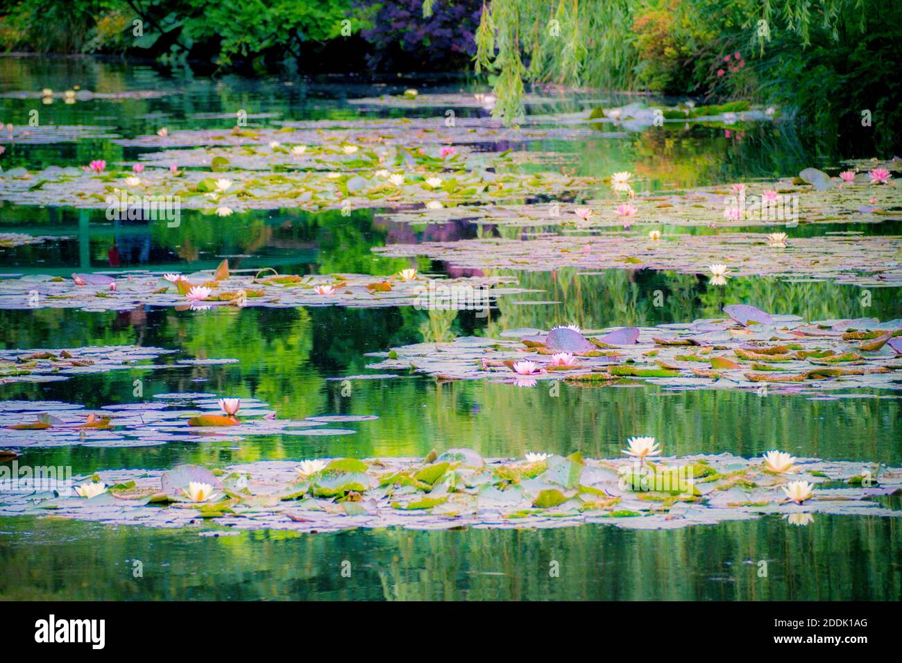 Les Jardins de Monet à Giverny - Monets Garten - Haus und Seerosengärten des französischen Künstlers Claude Monet in Giverny, Frankreich Stockfoto