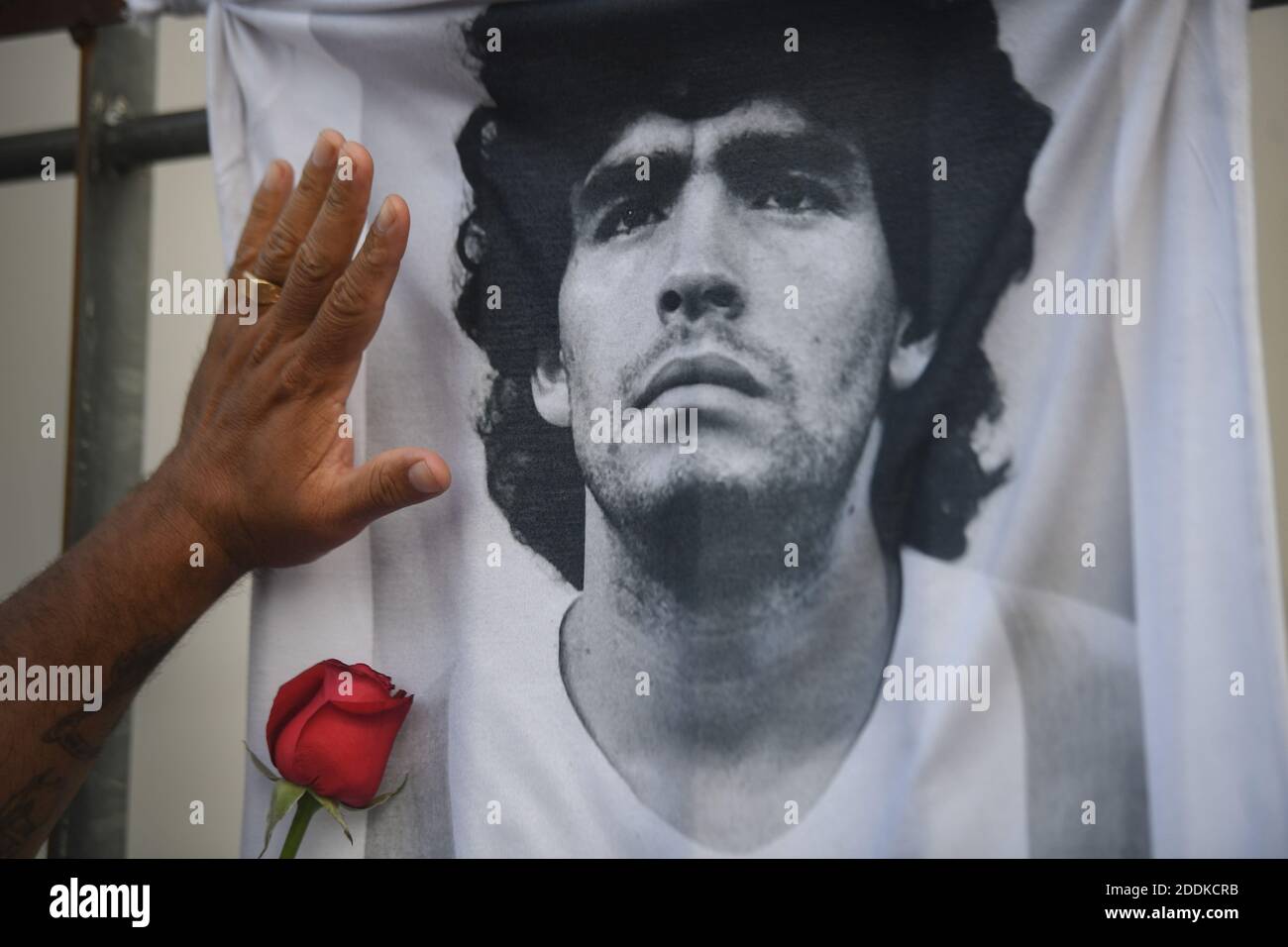 Buenos Aires, Argentinien. November 2020. Ein Fan legt seine Hand mit einer Rose auf ein T-Shirt mit dem Bild des Fußballstars Diego Maradona am Tag seines Todes. Maradona starb in einem Haus in Tigre nördlich von Buenos Aires. Kredit: Fernando Gens/dpa/Alamy Live Nachrichten Stockfoto