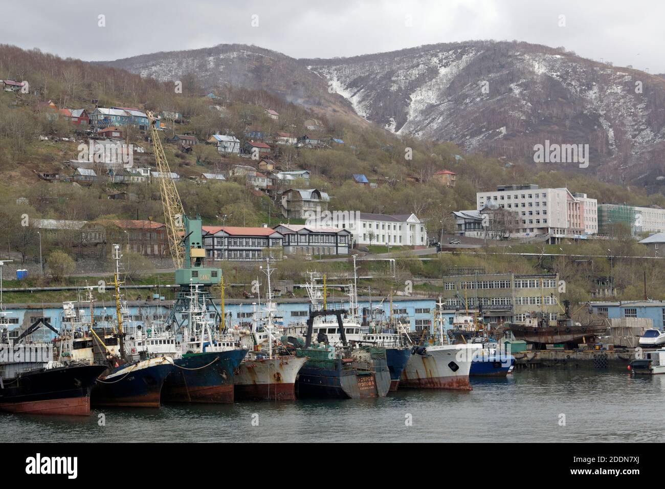 Avacha Bucht, Ansicht der Schiffe, die in Petropavlosk Kamtschatskiy, Kamtschatka, Fernen Osten Russlands 27th Mai 2012 festgemacht sind Stockfoto