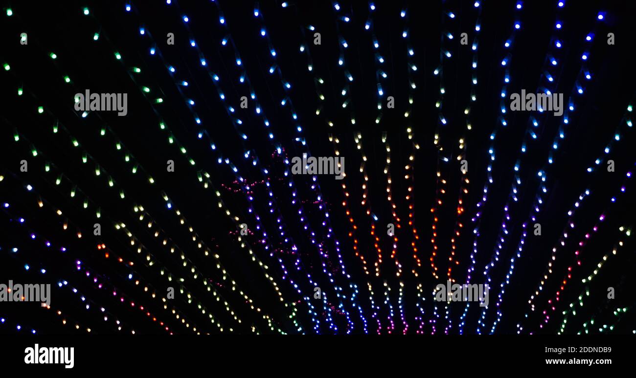 Zoolights Calgary Alberta Stockfoto