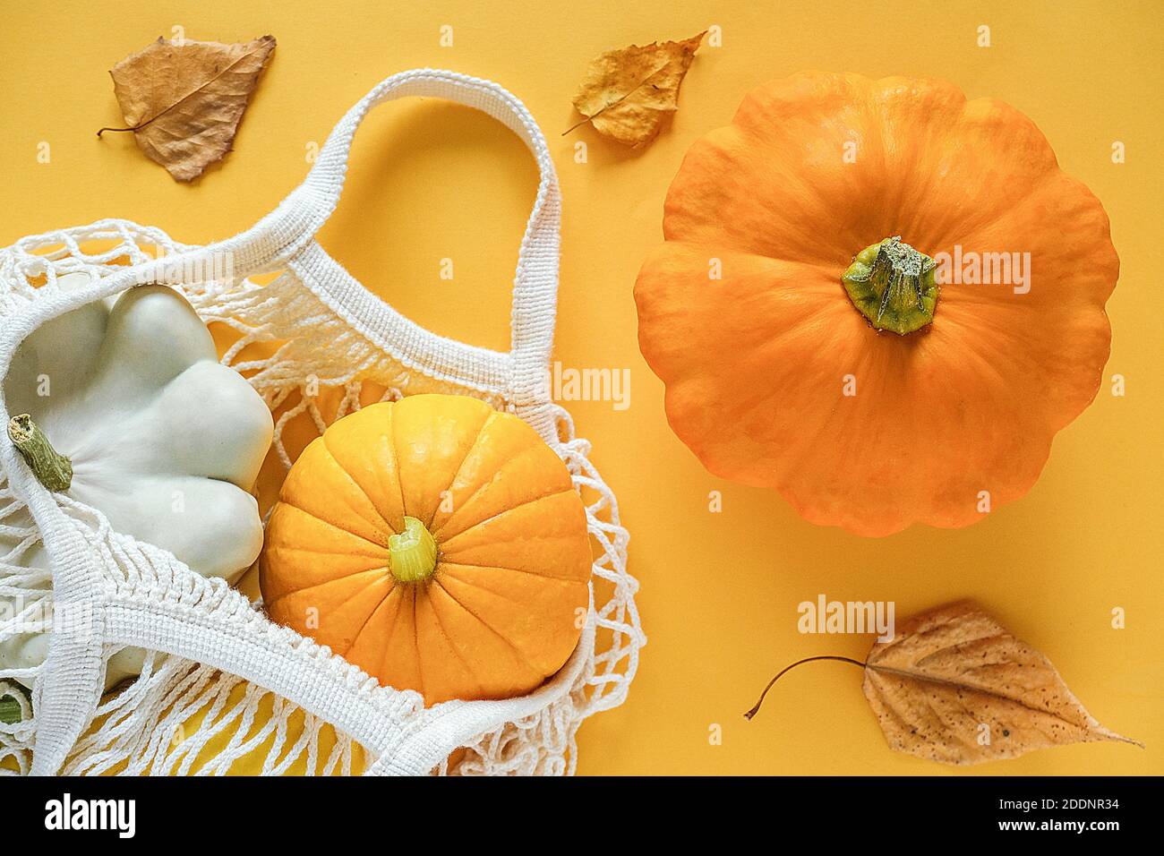 Frisches Erntegemüse Kürbis Kürbis, Pattypan Squash im Einkauf umweltfreundliche Netztasche, Herbstblätter auf gelbem Hintergrund. Konzept Bio-vegeta Stockfoto