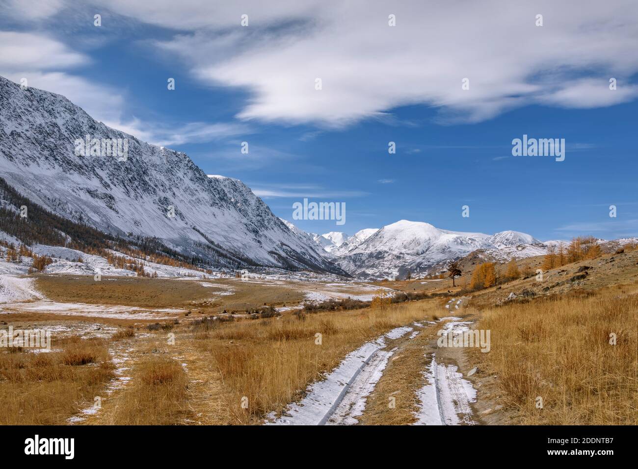 Erstaunliche Herbstlandschaft mit einer kurvenreichen Feldstraße, Fluss, verschneite Berge, goldene Lärchen auf den Pisten und der erste Schnee vor einem Hintergrund Stockfoto