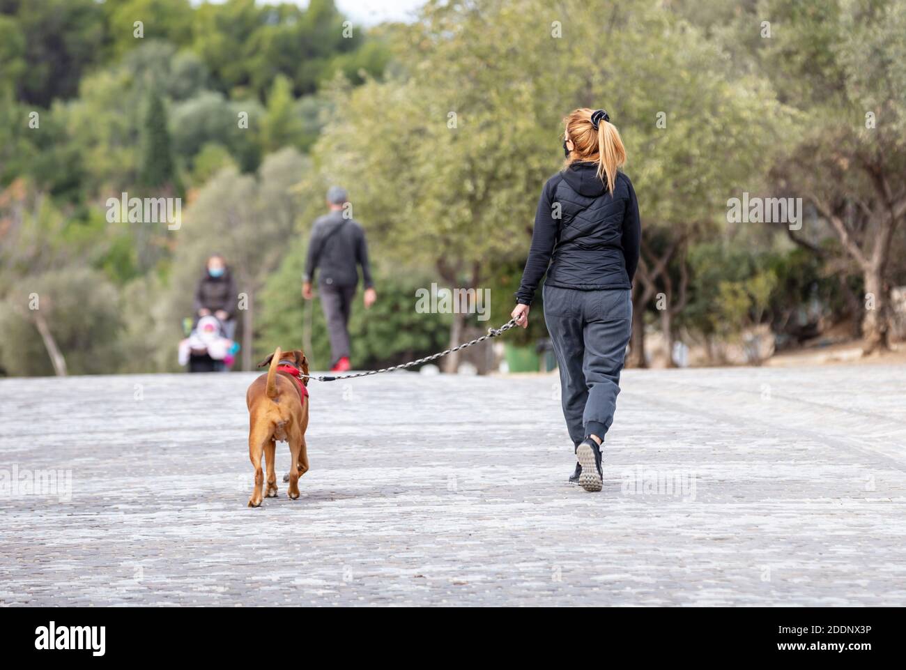 Athen Griechenland. 22. November 2020. Junge Frau mit einer COVID 19 Gesichtsschutzmaske zu Fuß mit einem Hund im Stadtzentrum, Areopagitou Straße. Coronavirus Stockfoto