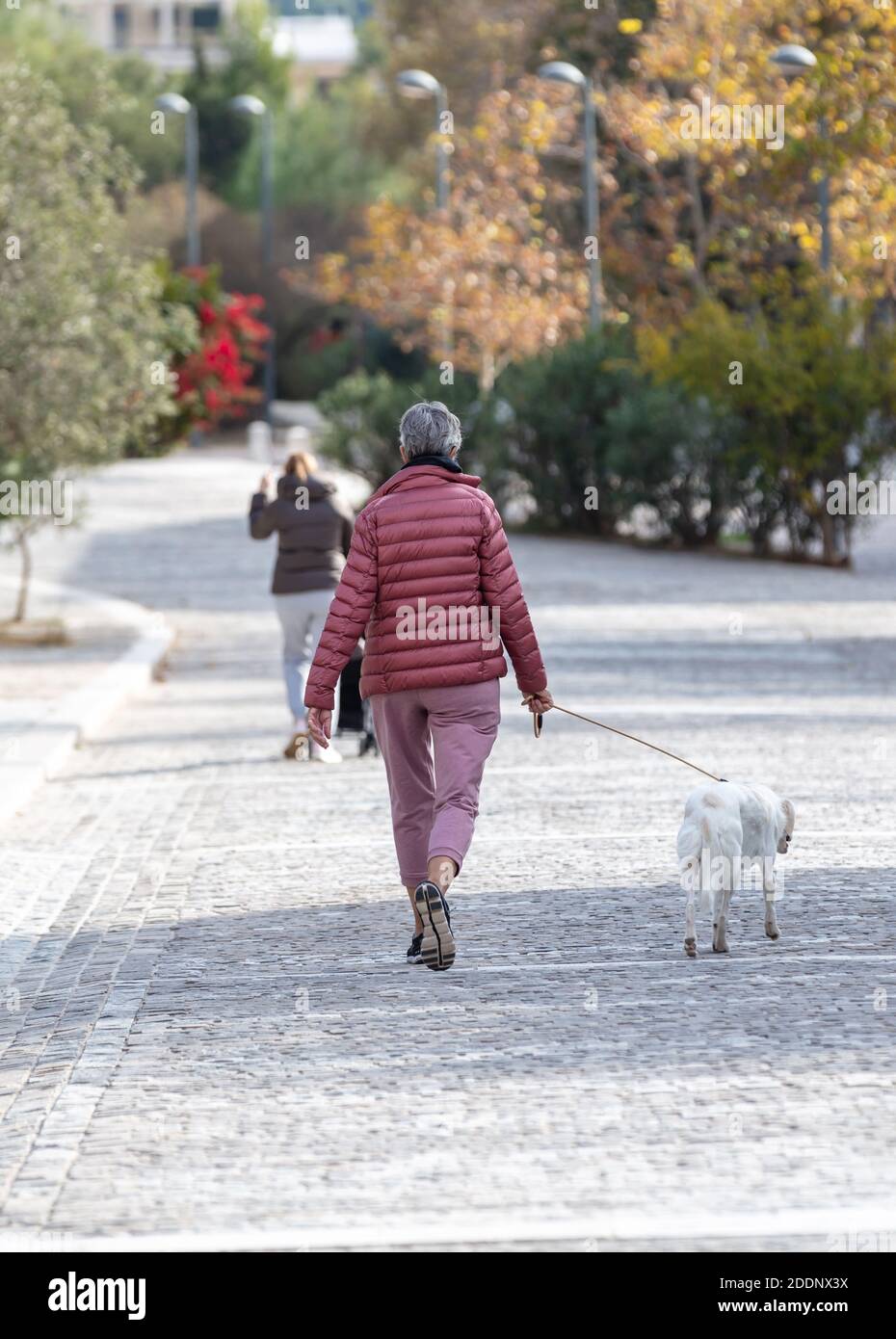 Athen Griechenland. 22. November 2020. Frau zu Fuß mit einem Hund im Stadtzentrum, Areopagitou Straße. Coronavirus-Lockdown-Tage. Stockfoto