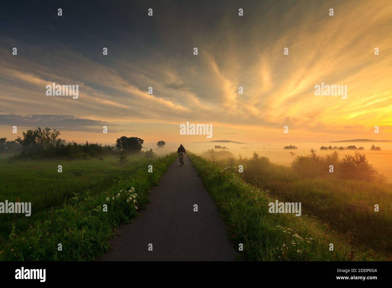 Radfahrer auf dem Radweg bei Sonnenaufgang. Velo Malopolska. Vistula Cycle Route (VCR). Stockfoto