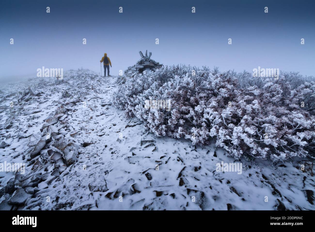 Ein einsamer Wanderer in einer verschneiten Landschaft. Einsamkeit, Berge, Winter, Nebel, Schnee. Stockfoto