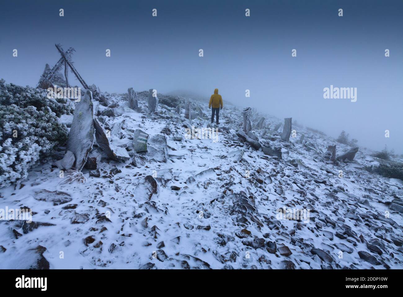 Ein einsamer Wanderer in einer verschneiten Landschaft. Einsamkeit, Berge, Winter, Nebel, Schnee. Stockfoto