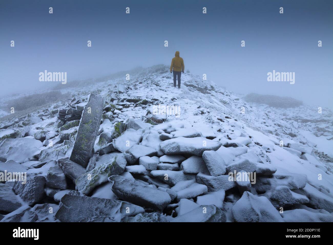 Ein einsamer Wanderer in einer verschneiten Landschaft. Einsamkeit, Berge, Winter, Nebel, Schnee. Stockfoto