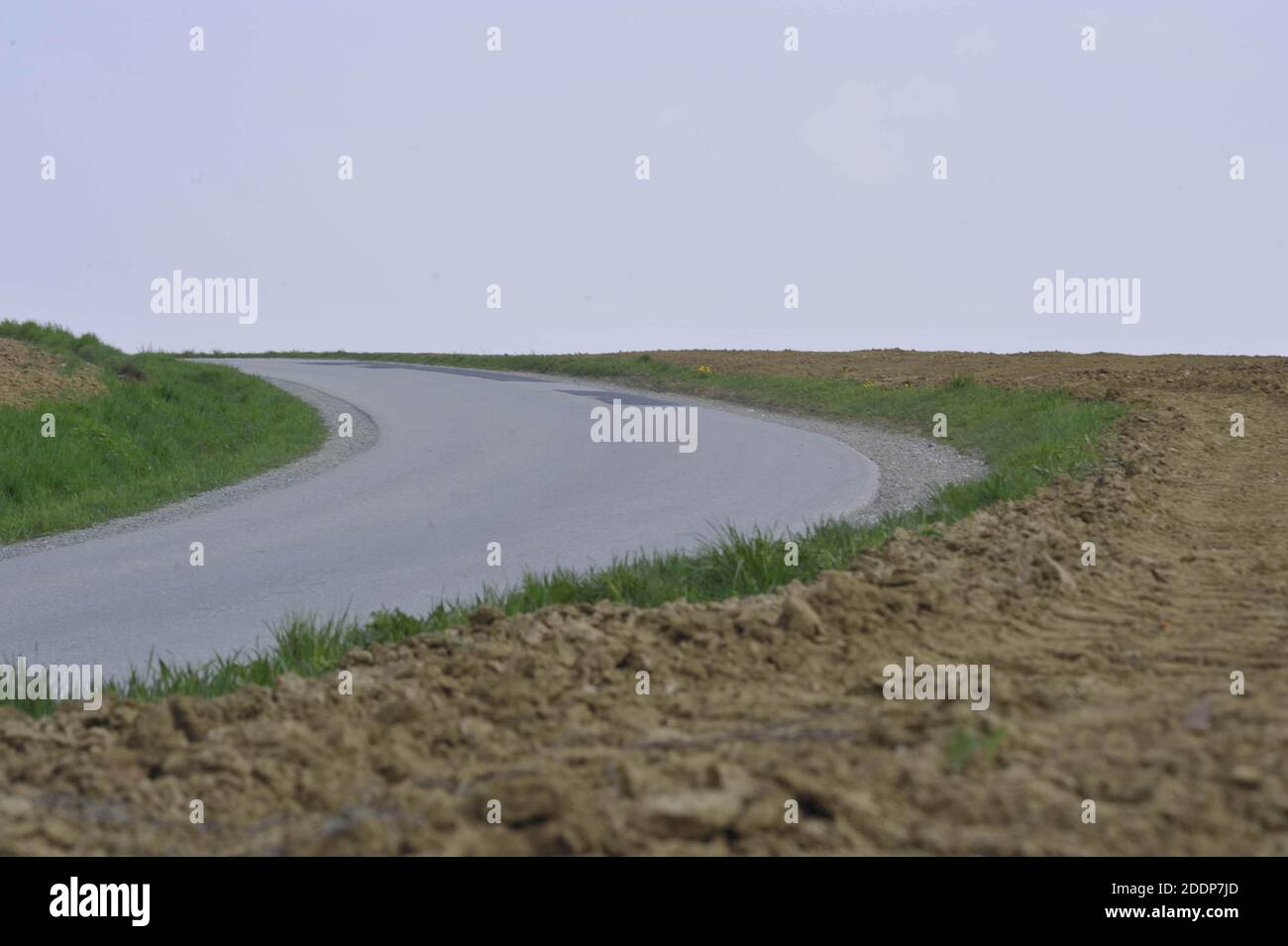 Landstraße oder Landstraße neben Feld und grün Gras Stockfoto