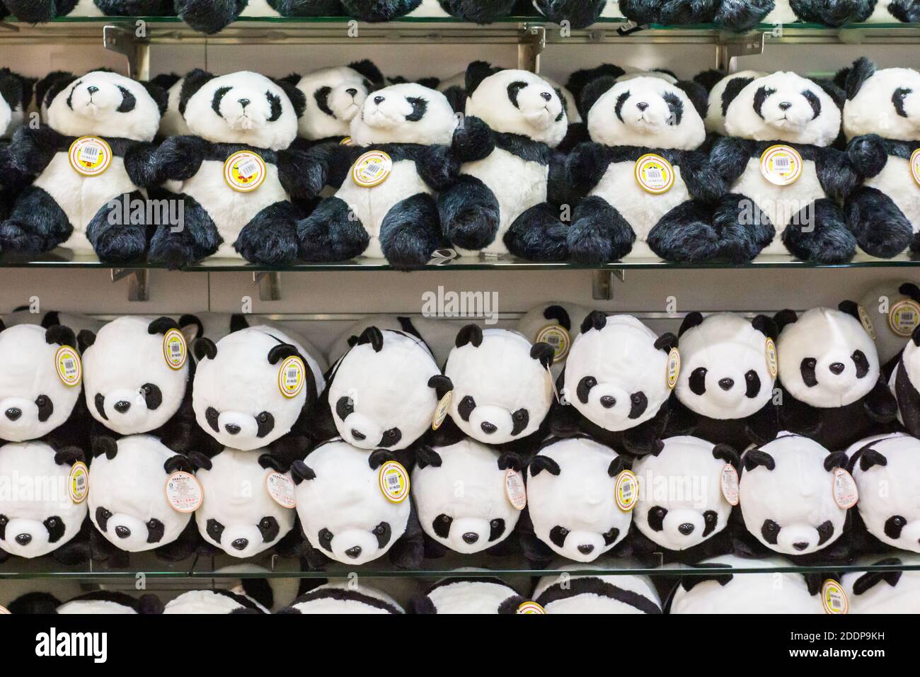 Panda Stofftiere im Taipei Zoo Giant Panda House In Taiwan Stockfoto