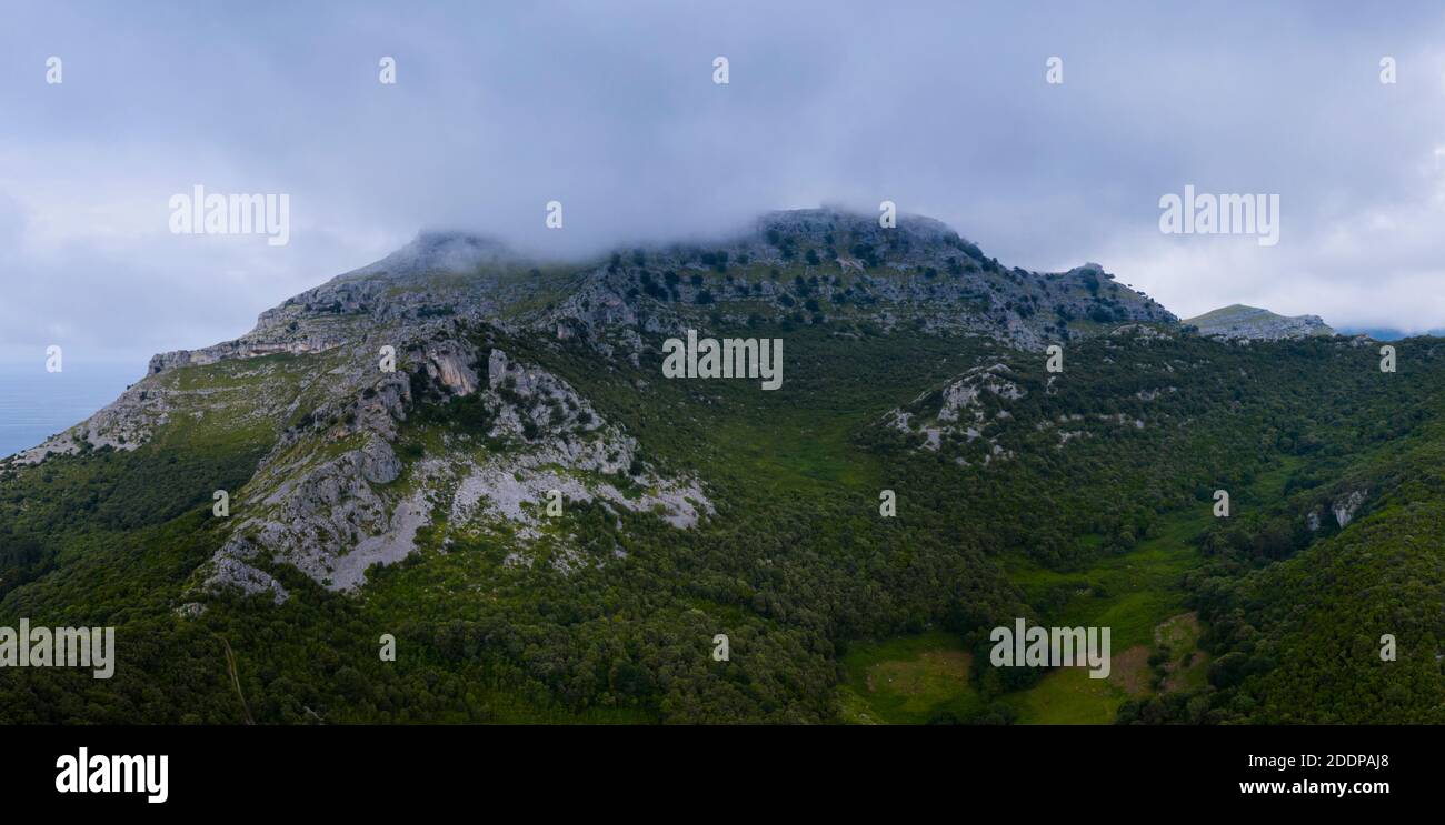 Candina Mountain, Springtime, Encinar Cantábrico, Eiche, Candina Mountain, Liendo, Liendo Valley, Montaña Oriental Costera, Kantabrien, Spanien, Europa Stockfoto