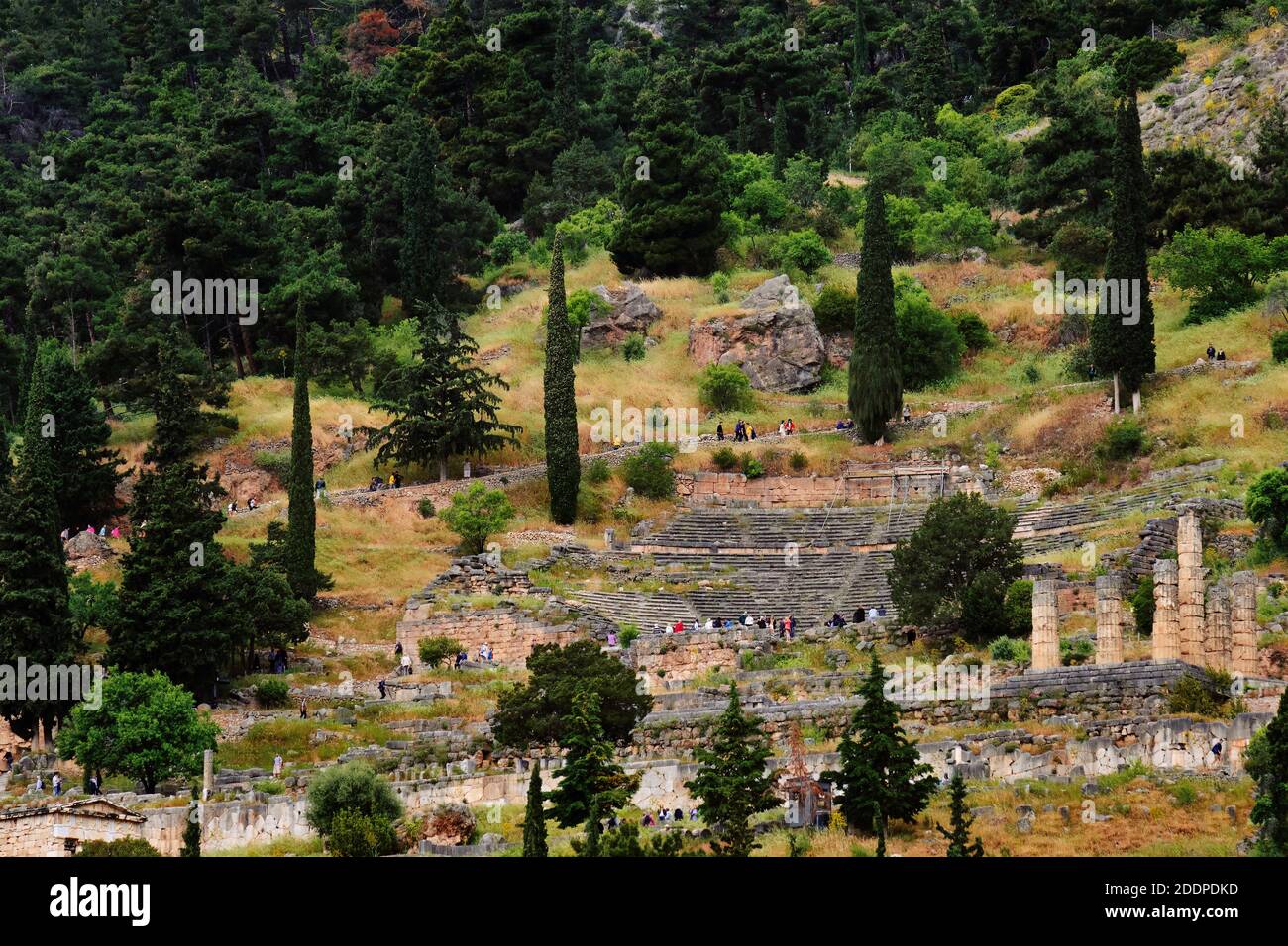 Blick auf den berühmten antiken griechischen Komplex, bekannt als Delphi orakel. Ruinen des Tempels von Apollo und Theater. Touristen hetzen auf und ab Berg, Kiefern, Zedern Stockfoto