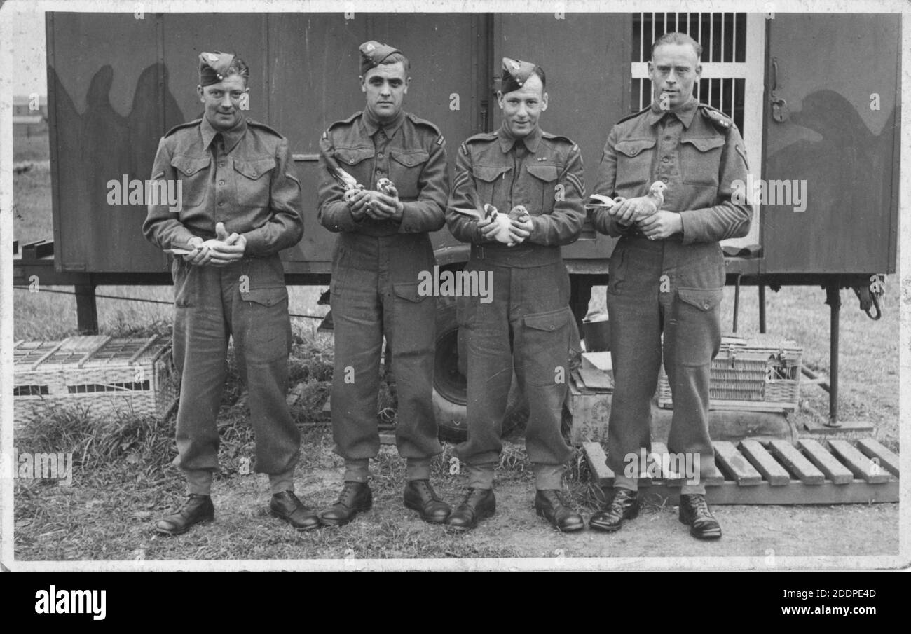 Carrier Pigeons und ihre Besitzer der britischen Armee kehrten Ende des 2. Weltkrieges 1945 vom aktiven Dienst zurück. 4 Soldaten vor einem mobilen Taubenloft. Stockfoto