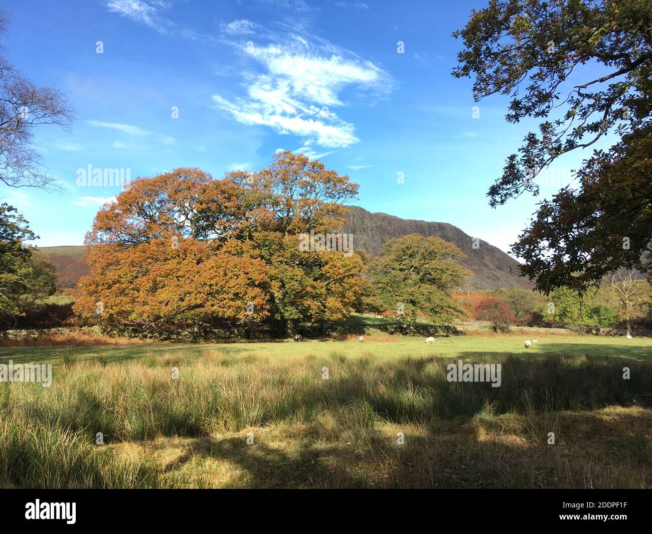 Cumbria Landschaft Stockfoto