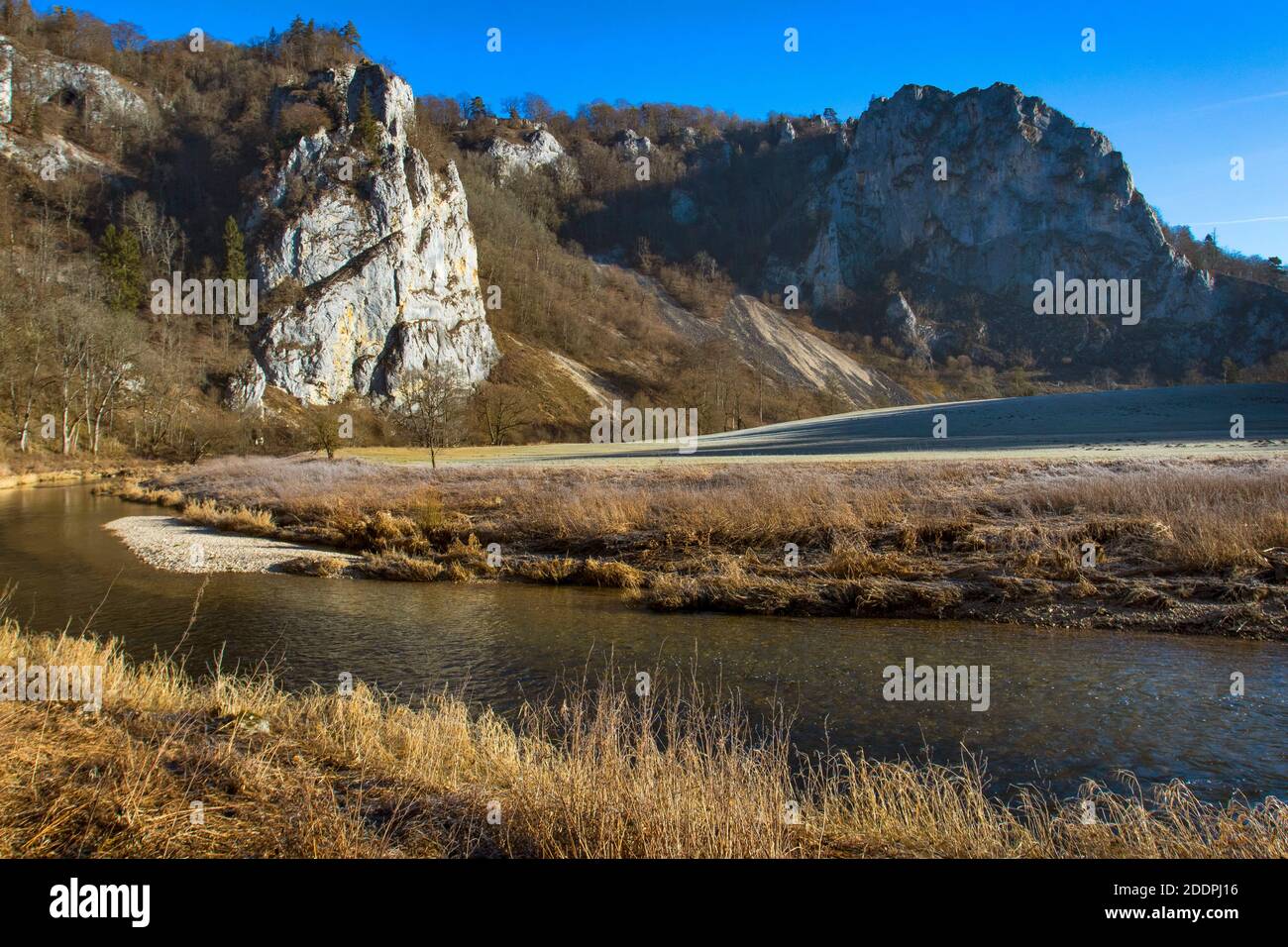 Oberes Donautal bei Fridingen, Stiegelesfels, Deutschland, Baden-Württemberg, Naturschutzgebiet Stiegelesfels Stockfoto