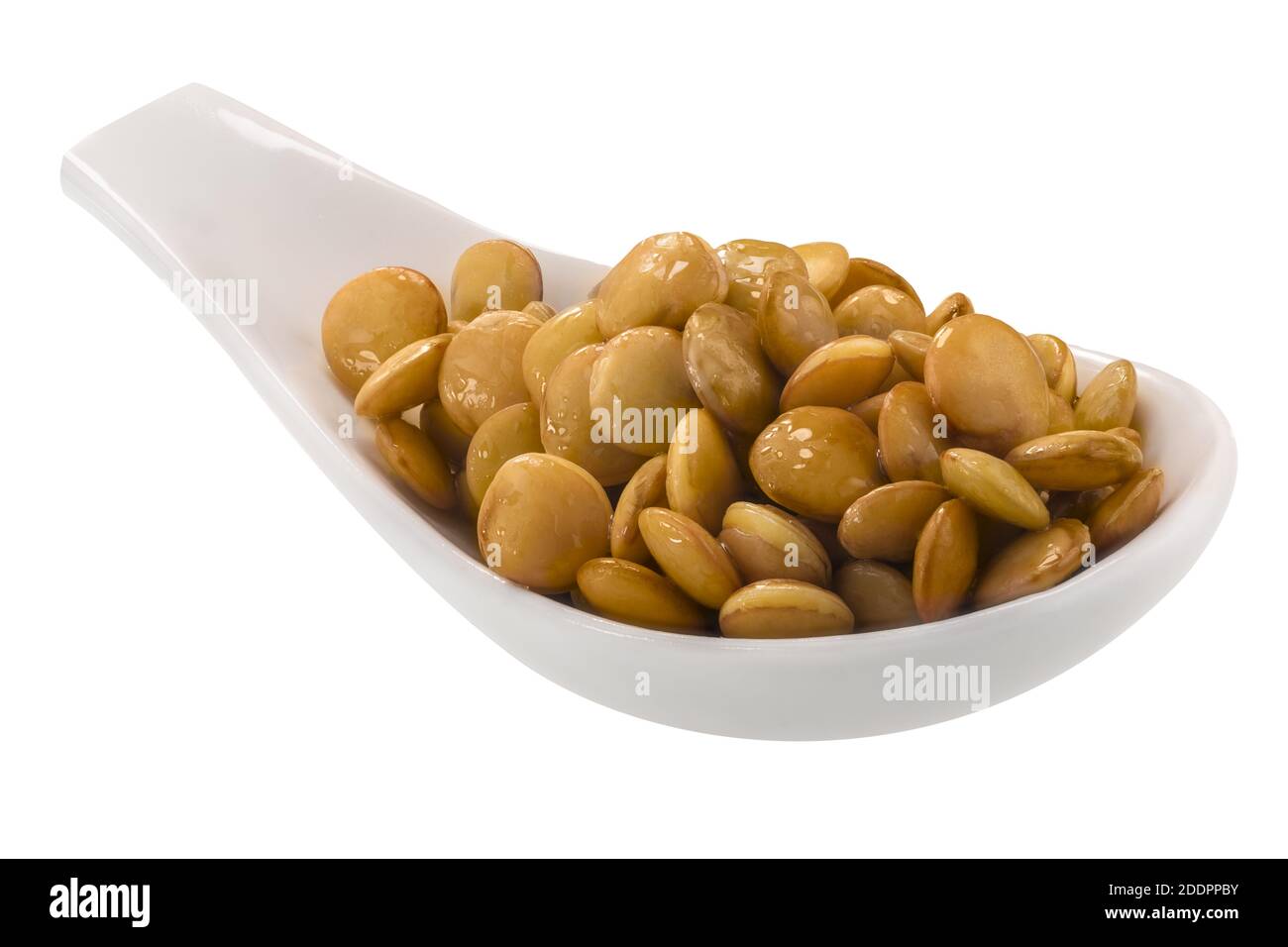 Löffel gekochte Linsen (Lens culinaris Samen) isoliert Stockfoto