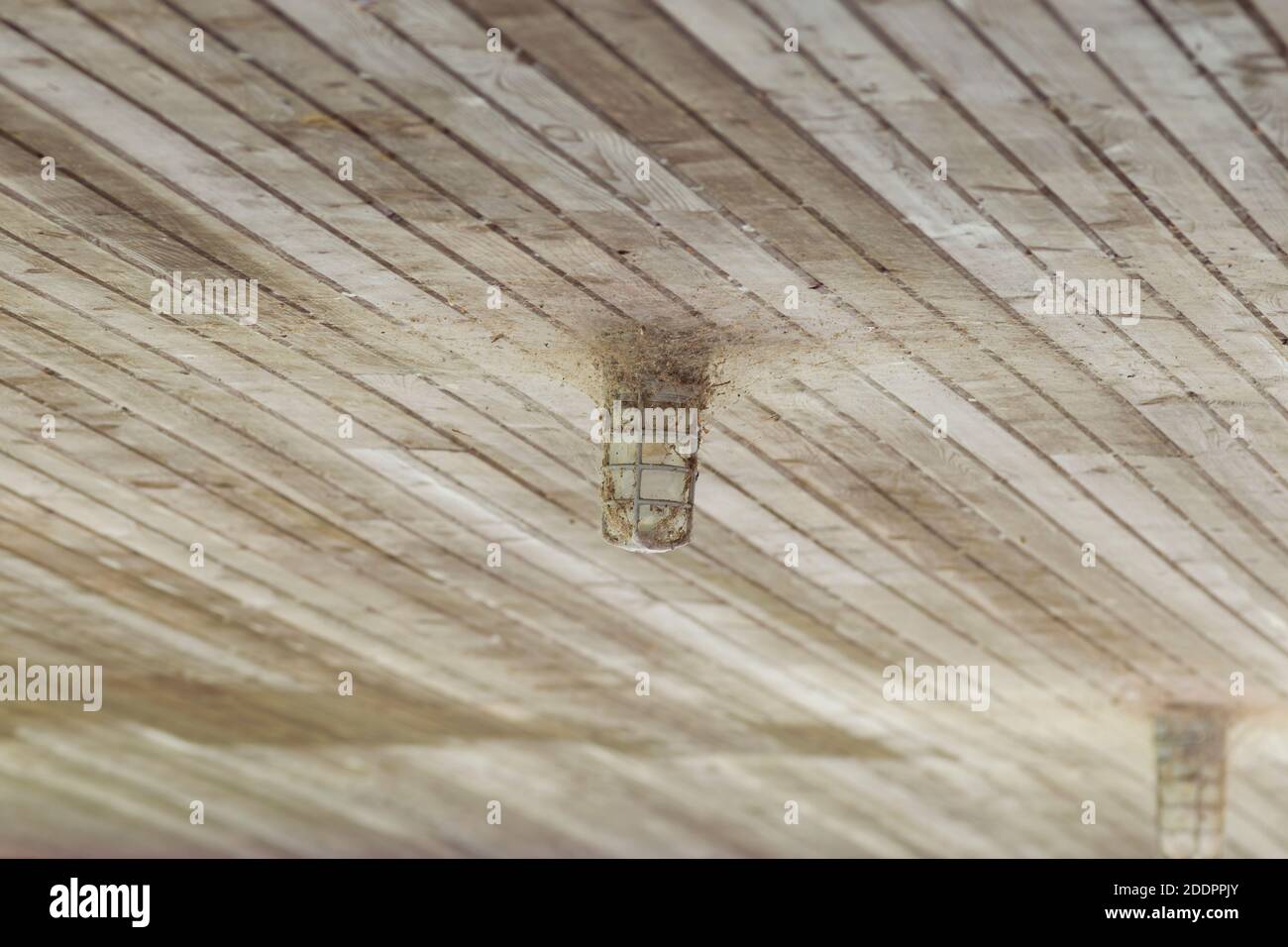 Hängendes Licht in einem Park-Pavillon sammelt Trümmer Stockfoto