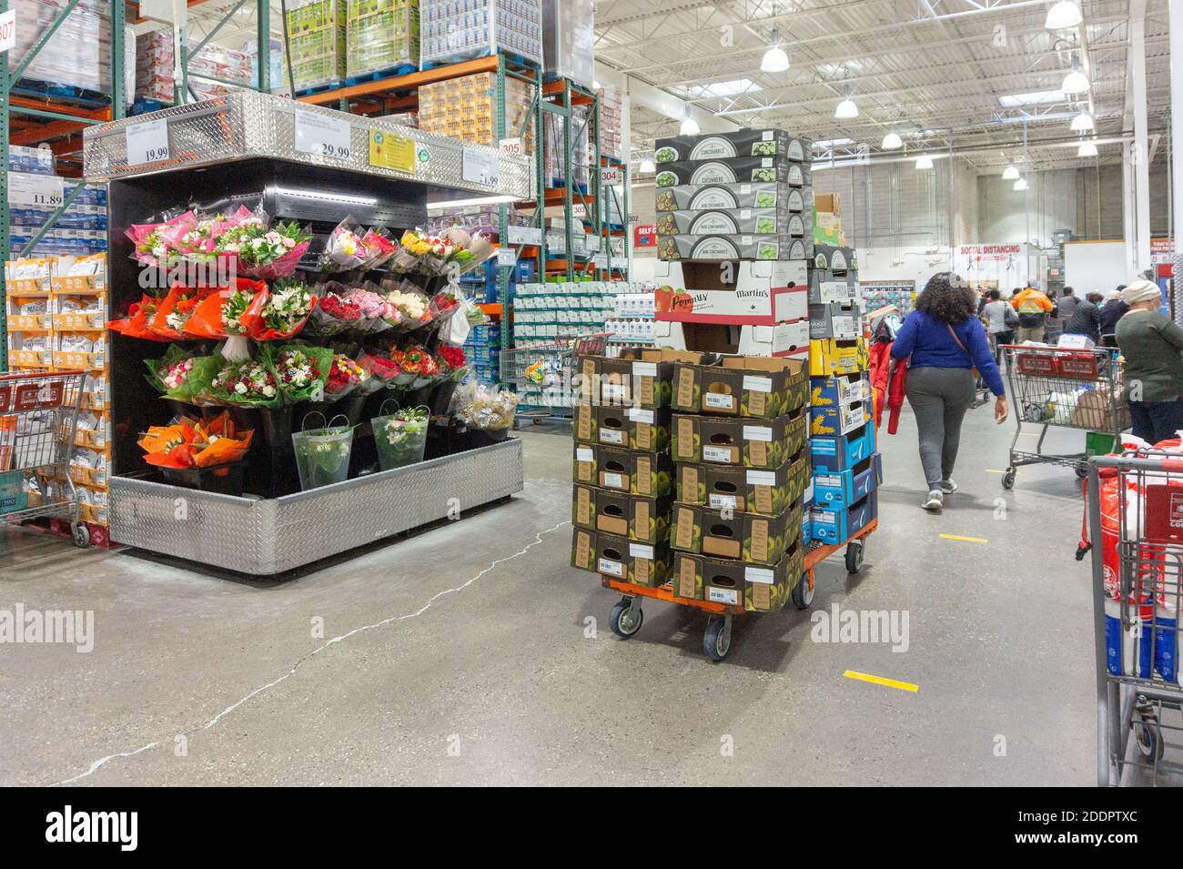 Die Blumenabteilung eines Costco-Großhändlers während der COVID-19-Pandemie Stockfoto