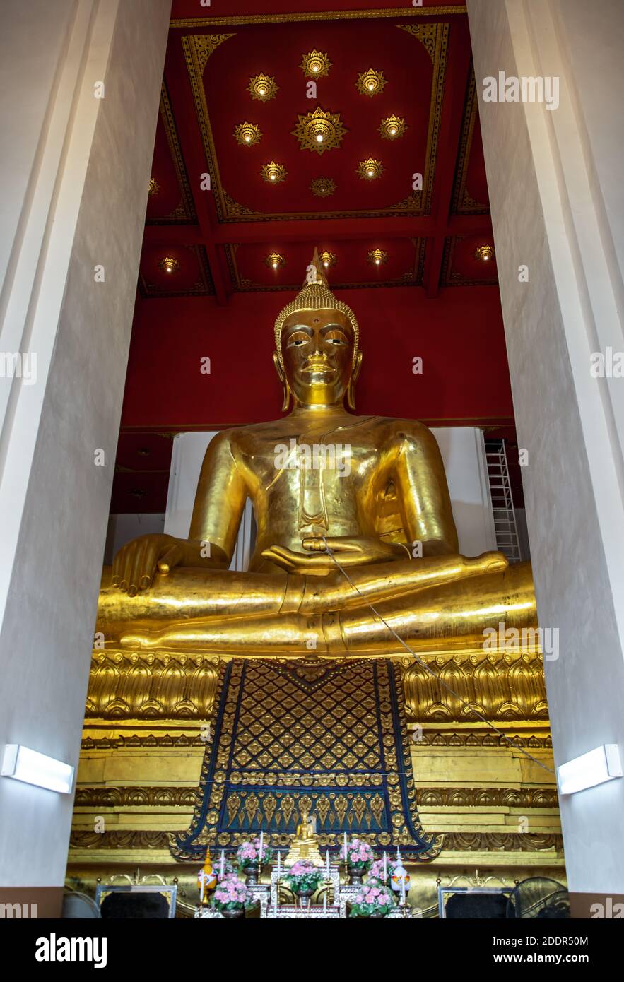 Das buddha-Bild in der hauptvihan in Wihan Phra Mongkhon Bophit in der Provinz Ayutthaya in Thailand. Selektiver Fokus. Stockfoto