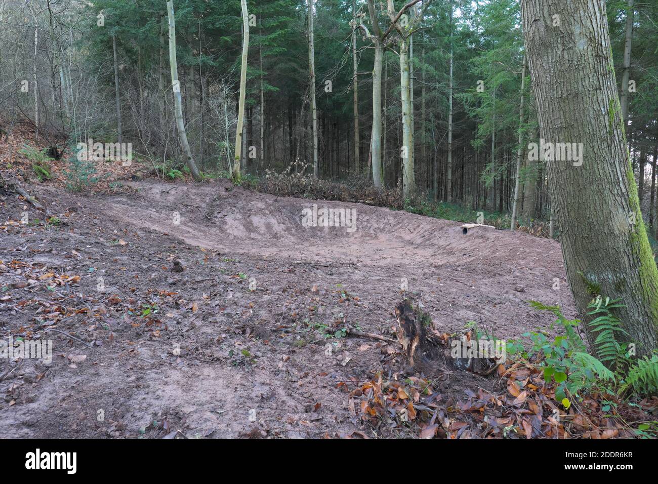 Dämpfungspools in Aconbury Wood Herefordshire UK, vor kurzem von der EA gegraben, um den Schaden von Wasser zu reduzieren, das einen steilen Hang hinunter kommt November 2020. Stockfoto