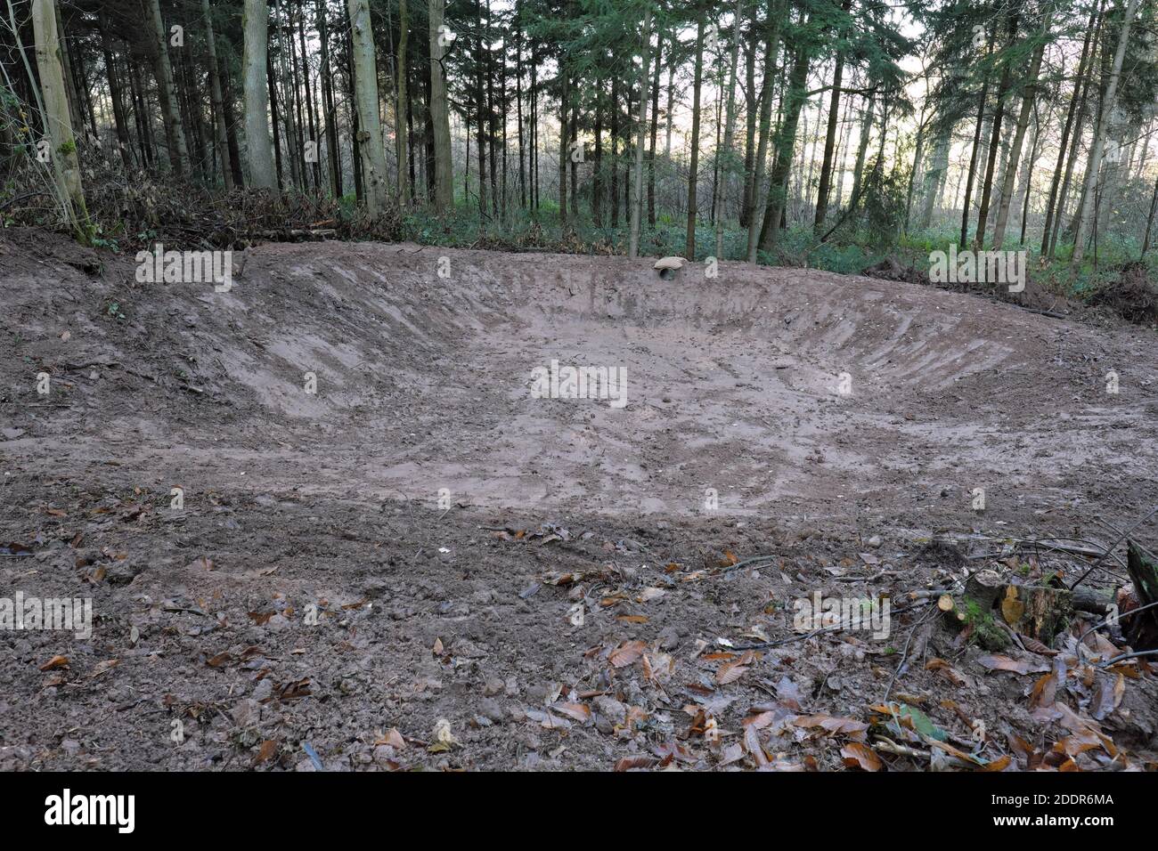 Dämpfungspools in Aconbury Wood Herefordshire UK, vor kurzem von der EA gegraben, um den Schaden von Wasser zu reduzieren, das einen steilen Hang hinunter kommt November 2020. Stockfoto
