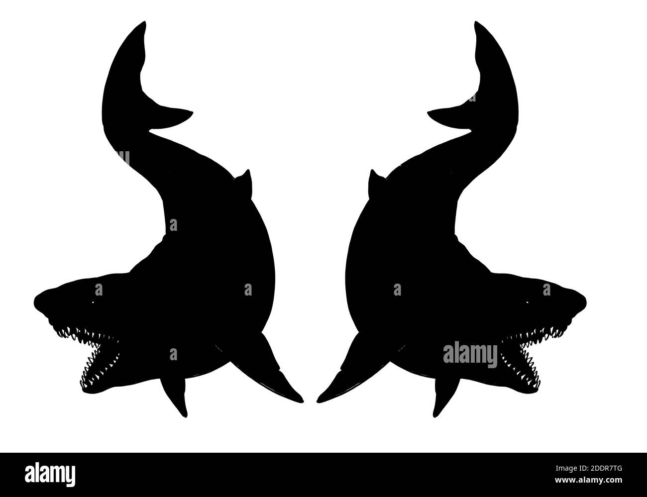 Vorlage für Riesenhaie. Zeichnung großer Haie. Monster Megalodon Illustration. Stockfoto