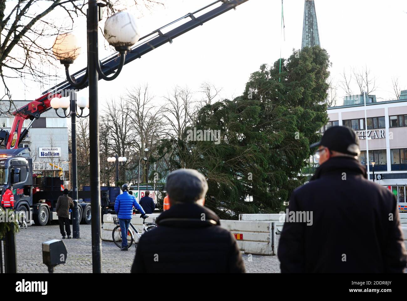 MOTALA, SCHWEDEN- 26. NOVEMBER 2020: Der diesjährige Weihnachtsbaum, 19 Meter hoch, 65 Jahre alt und fast 3000 kg schwer, kam am Donnerstag an. Foto Jeppe Gustafsson Stockfoto